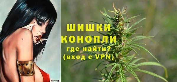 стаф Абаза