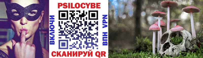 Псилоцибиновые грибы Psilocybe Ялуторовск